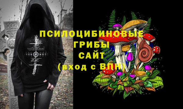 скорость Алзамай
